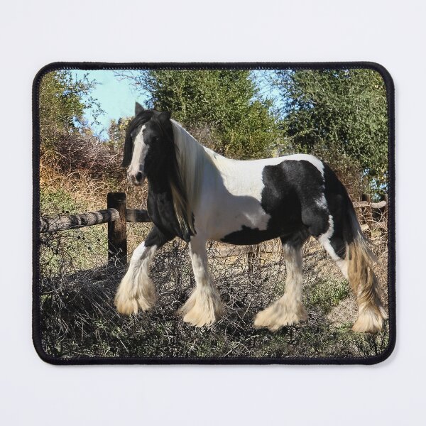 Item preview, Gypsy Vanner Horse 1 designed and sold by heatherfriedman.