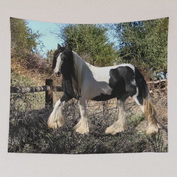 Item preview, Gypsy Vanner Horse  1 designed and sold by heatherfriedman.