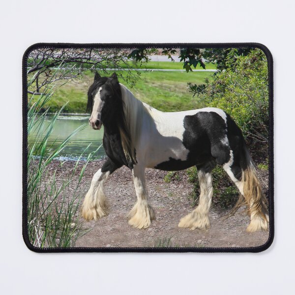 Item preview, Gypsy Vanner Horse  3 designed and sold by heatherfriedman.