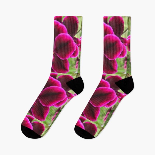 Item preview, Purple Geranium  designed and sold by Kymbo.