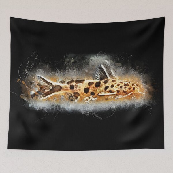 Item preview, Rock bearded catfish - Synodontis petricola designed and sold by AquariumLutter.