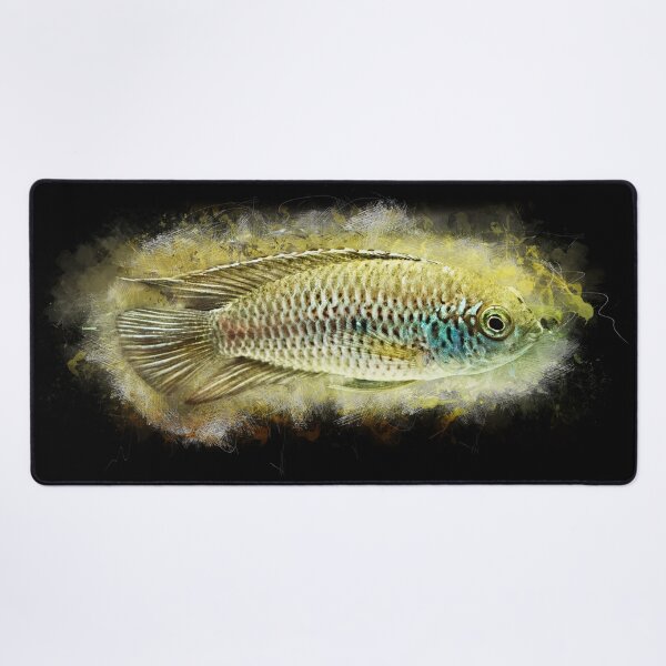 Item preview, Glossy dwarf cichlid - Nanacara anomala designed and sold by AquariumLutter.