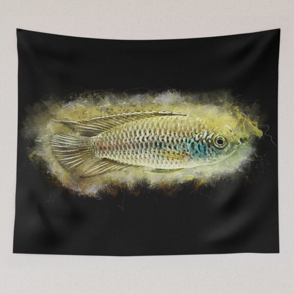 Item preview, Glossy dwarf cichlid - Nanacara anomala designed and sold by AquariumLutter.