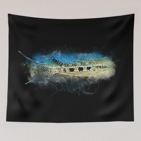 Item preview, Forktail Checkerboard Cichlid - Dicrossus filmantosus designed and sold by AquariumLutter.