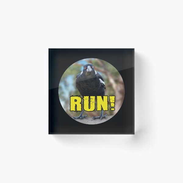 Item preview, Australian Magpie says RUN! designed and sold by Wonderbouy.