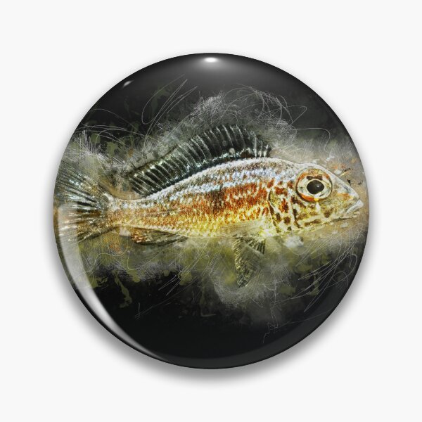 Item preview, Bigeye Sand Cichlid Ndole Red - Callochromis macrops designed and sold by AquariumLutter.