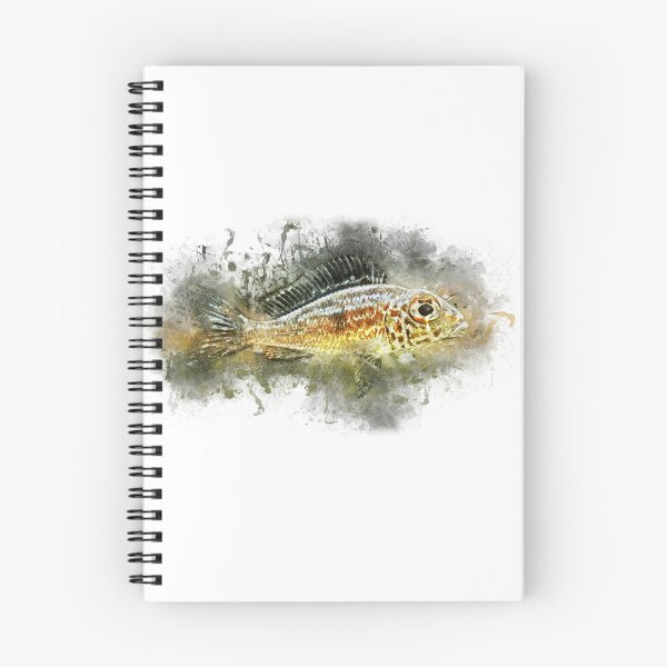 Item preview, Bigeye Sand Cichlid Ndole Red - Callochromis macrops designed and sold by AquariumLutter.