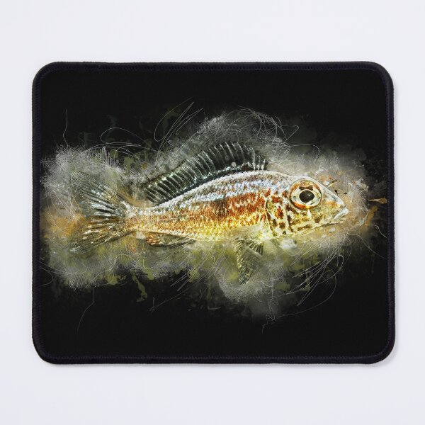 Item preview, Bigeye Sand Cichlid Ndole Red - Callochromis macrops designed and sold by AquariumLutter.
