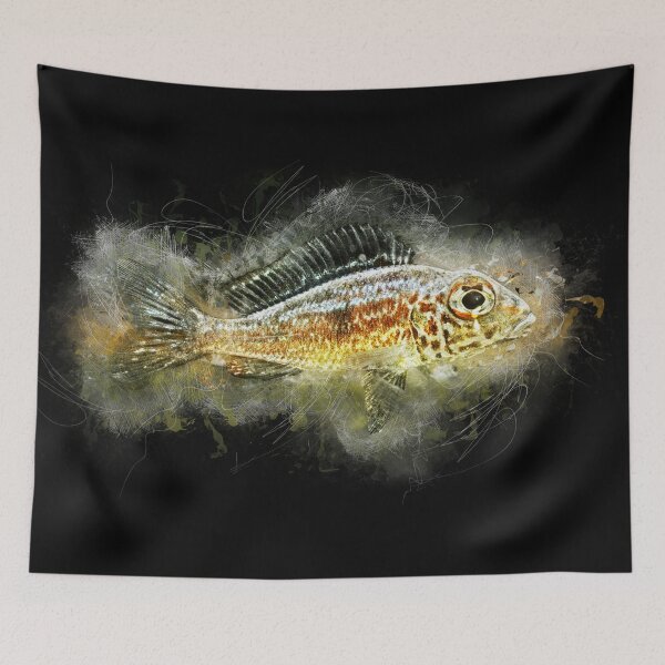 Item preview, Bigeye Sand Cichlid Ndole Red - Callochromis macrops designed and sold by AquariumLutter.