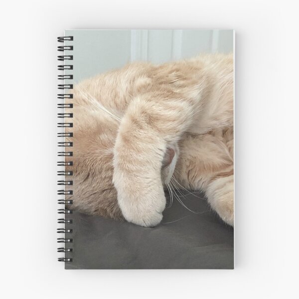 Item preview, Drama Kitty  designed and sold by Beau Gordon.