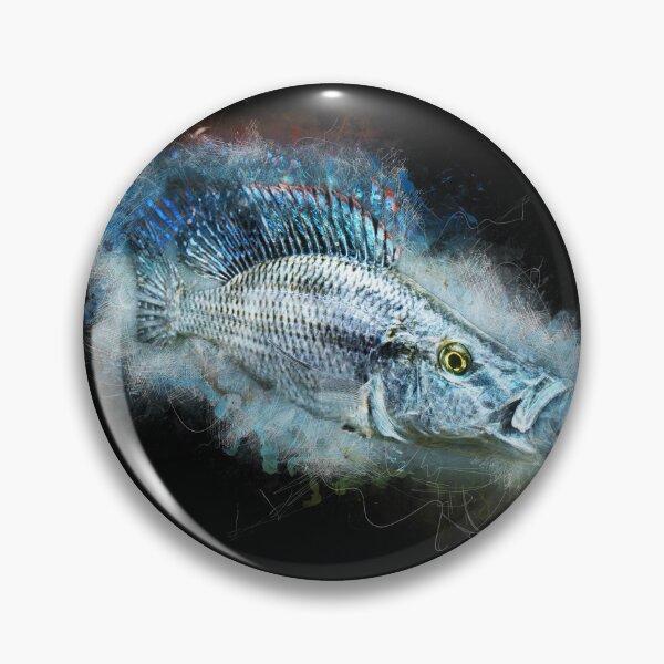 Item preview, Knife cichlid - Dimidiochromis compressiceps designed and sold by AquariumLutter.