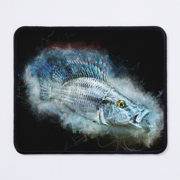 Item preview, Knife cichlid - Dimidiochromis compressiceps designed and sold by AquariumLutter.