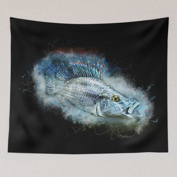 Item preview, Knife cichlid - Dimidiochromis compressiceps designed and sold by AquariumLutter.