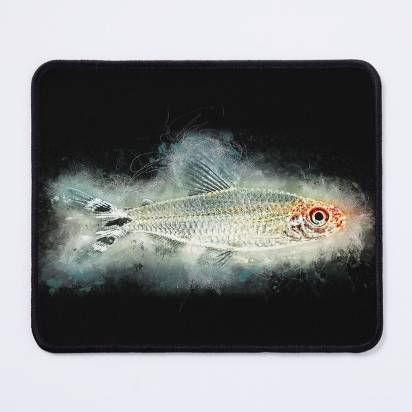 Item preview, Redhead Tetra - Hemigrammus bleheri designed and sold by AquariumLutter.