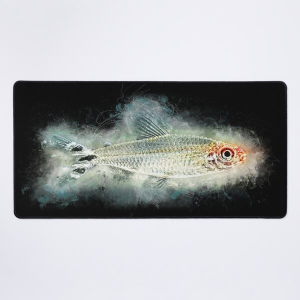 Item preview, Redhead Tetra - Hemigrammus bleheri designed and sold by AquariumLutter.