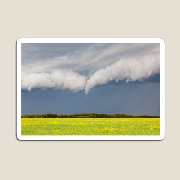 Item preview, Threatening Storm over a Canola Field designed and sold by Don Arsenault.