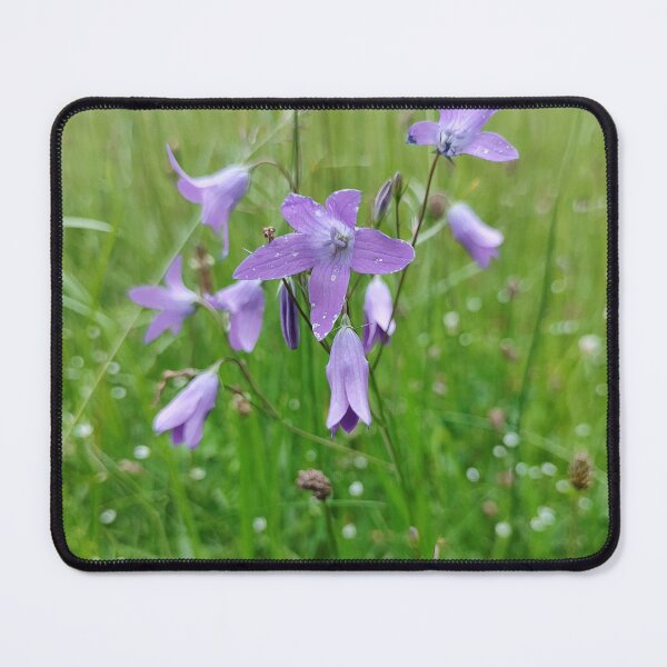 Item preview, The Bellfower designed and sold by Raigitam.