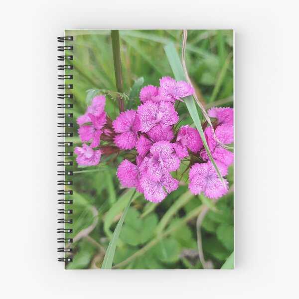 Item preview, The pink carnation designed and sold by Raigitam.