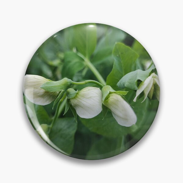 Item preview, The blooming pea designed and sold by Raigitam.