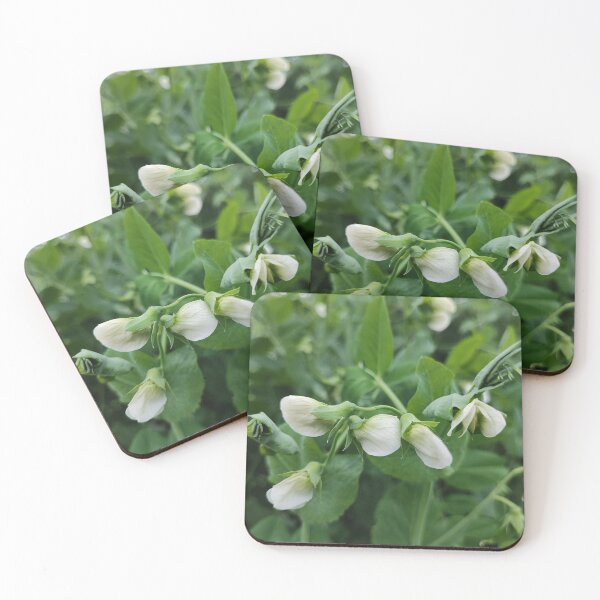 Item preview, The blooming pea designed and sold by Raigitam.