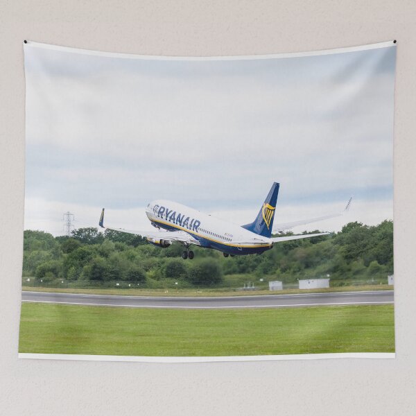 Item preview, MAN to CRL Ryanair Boeing 737-8AS EI-EVH designed and sold by Skyframe Aviation.