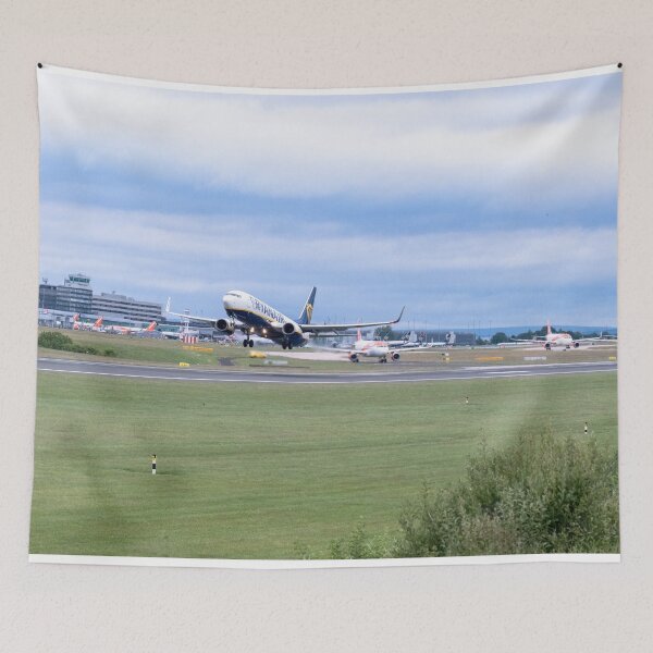 Item preview, MAN to BER Ryanair Boeing 737-8AS EI-EFZ designed and sold by Skyframe Aviation.