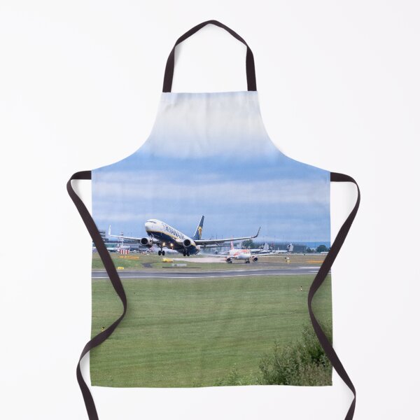Item preview, MAN to BER Ryanair Boeing 737-8AS EI-EFZ designed and sold by Skyframe Aviation.