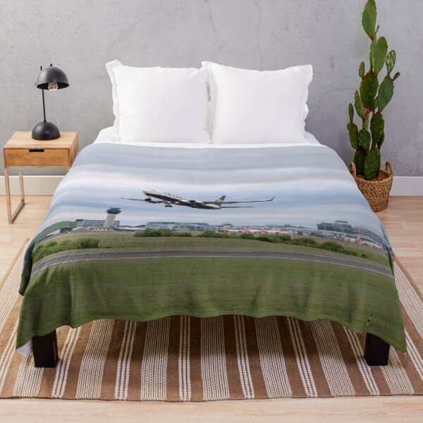 Item preview, MAN to BER Ryanair Boeing 737-8AS EI-EFZ designed and sold by Skyframe Aviation.