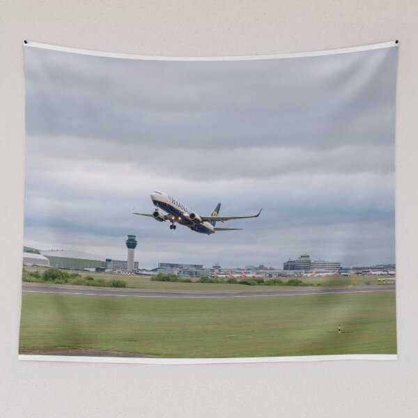 Item preview, MAN to BER Ryanair Boeing 737-8AS EI-EFZ designed and sold by Skyframe Aviation.
