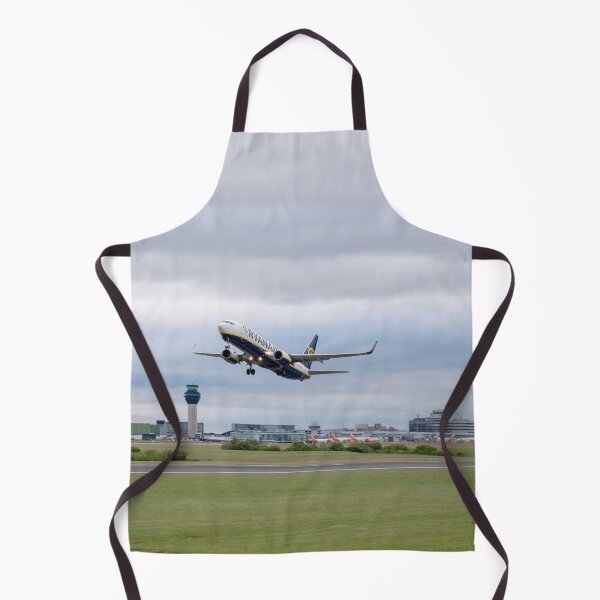 Item preview, MAN to BER Ryanair Boeing 737-8AS EI-EFZ designed and sold by Skyframe Aviation.