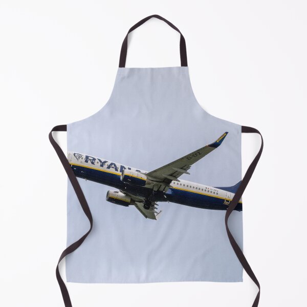 Item preview, MAN to BER Ryanair Boeing 737-8AS EI-EFZ designed and sold by Skyframe Aviation.
