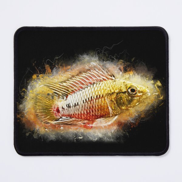 Item preview, Red-line dwarf cichlid - Apistogramma hongsloi designed and sold by AquariumLutter.