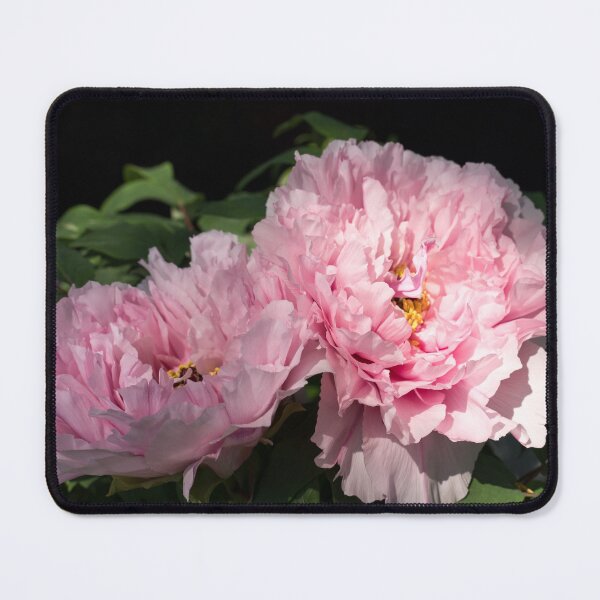 Item preview, Botanic Aromatherapy - Very Showy Tree Peony Bloom Duet designed and sold by Georgia Mizuleva.