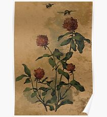 Bees and Clover Poster