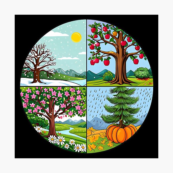 Item preview, Vibrant Seasonal Four Quadrant Sticker – Spring, Summer, Fall, and Winter Cartoon Illustration designed and sold by FestivityFinds.