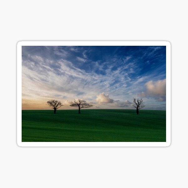 Item preview, Lone Trees designed and sold by Alius Imago.