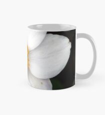 Anemone Mug