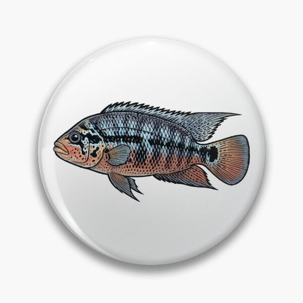 Item preview, Red Tiger Mota (Parachromis motaguensis) designed and sold by My-Thing.