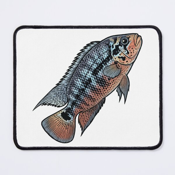 Item preview, Red Tiger Mota (Parachromis motaguensis) designed and sold by My-Thing.