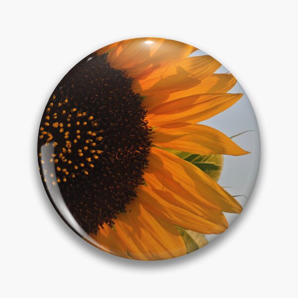 Item preview, Bisacquino Sunflower designed and sold by GillianTapping.