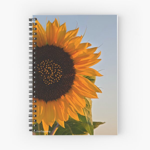 Item preview, Bisacquino Sunflower designed and sold by GillianTapping.