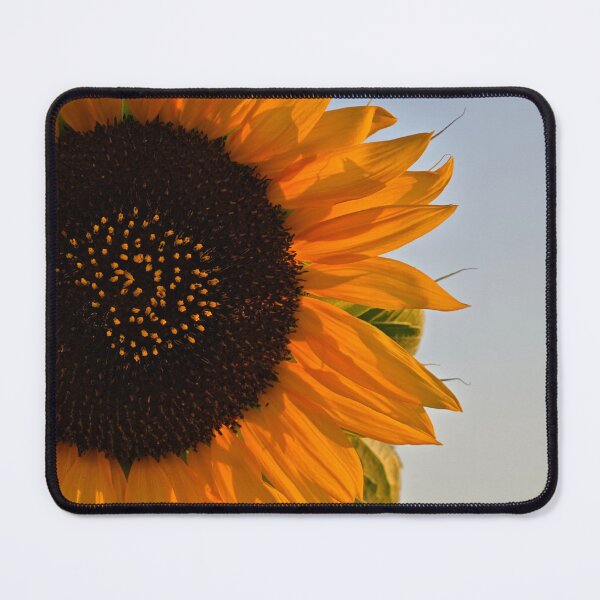 Item preview, Bisacquino Sunflower designed and sold by GillianTapping.