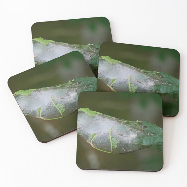 Item preview, Paddle style engineering. Bird-cherry ermine designed and sold by Jouko Lehto Photography.