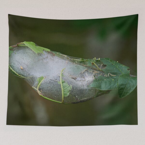 Item preview, Paddle style engineering. Bird-cherry ermine designed and sold by Jouko Lehto Photography.