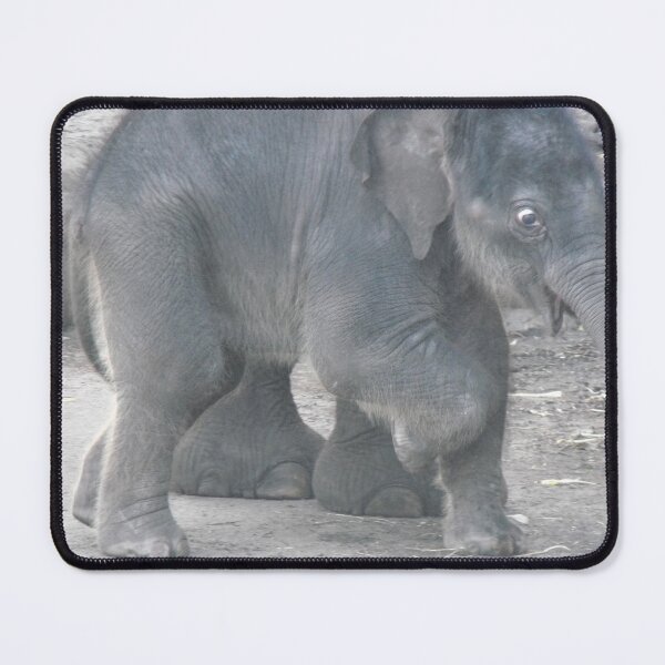 Item preview, Pathi Harn at Play! designed and sold by Kymbo.