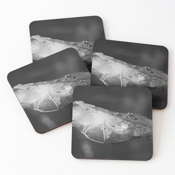 Item preview, Paddle style engineering. Bird-cherry ermine bw designed and sold by Jouko Lehto Photography.