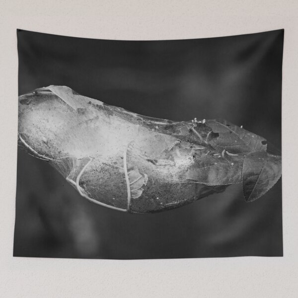 Item preview, Paddle style engineering. Bird-cherry ermine bw designed and sold by Jouko Lehto Photography.