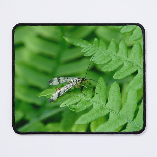 Item preview, On the green world. Scorpion Fly designed and sold by Jouko Lehto Photography.