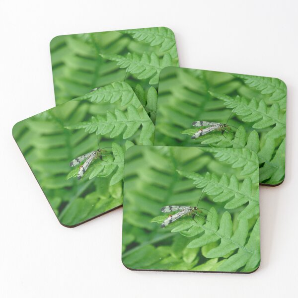 Item preview, On the green world. Scorpion Fly designed and sold by Jouko Lehto Photography.