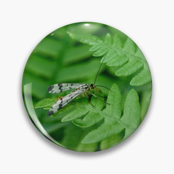 Item preview, On the green world. Scorpion Fly designed and sold by Jouko Lehto Photography.